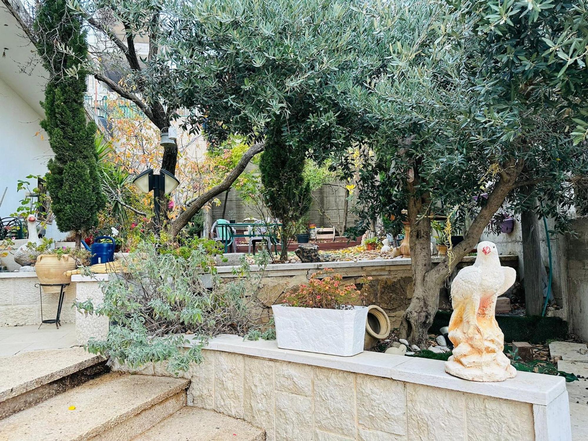 Hermon Accommodation Majdal Shams Chambre photo