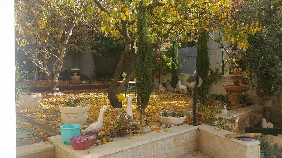Hermon Accommodation Majdal Shams Extérieur photo
