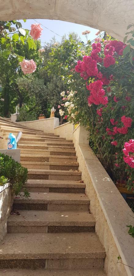 Hermon Accommodation Majdal Shams Extérieur photo
